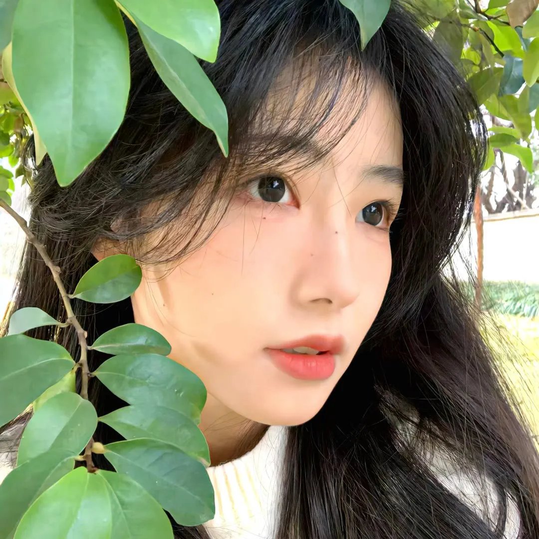 三世情缘，轮回之爱